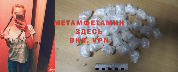 трава Няндома