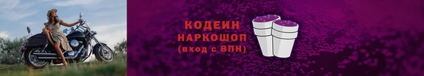 2c-b Новозыбков