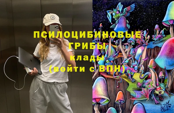 соль ск Новодвинск