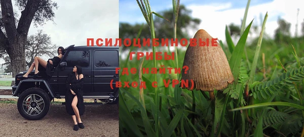 герыч Новокубанск