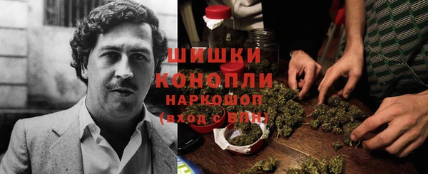 трава Няндома