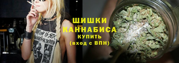 сатива Нязепетровск