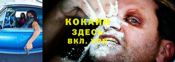 соль ск Новодвинск