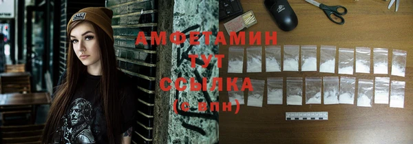 трава Няндома