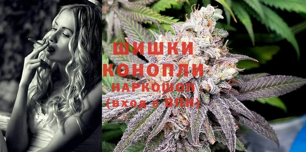соль ск Новодвинск
