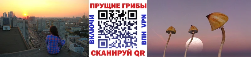 Галлюциногенные грибы Psilocybine cubensis  Кемь 